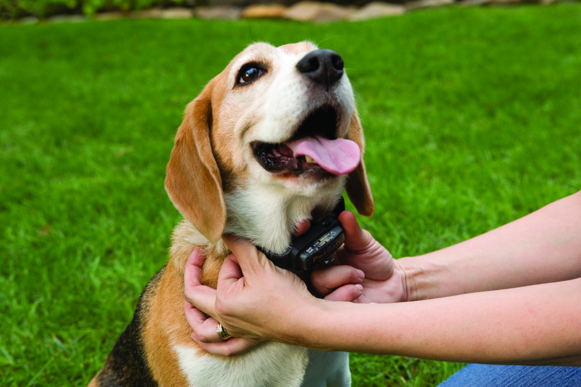 WHAT IS FREEDOM FENCE™