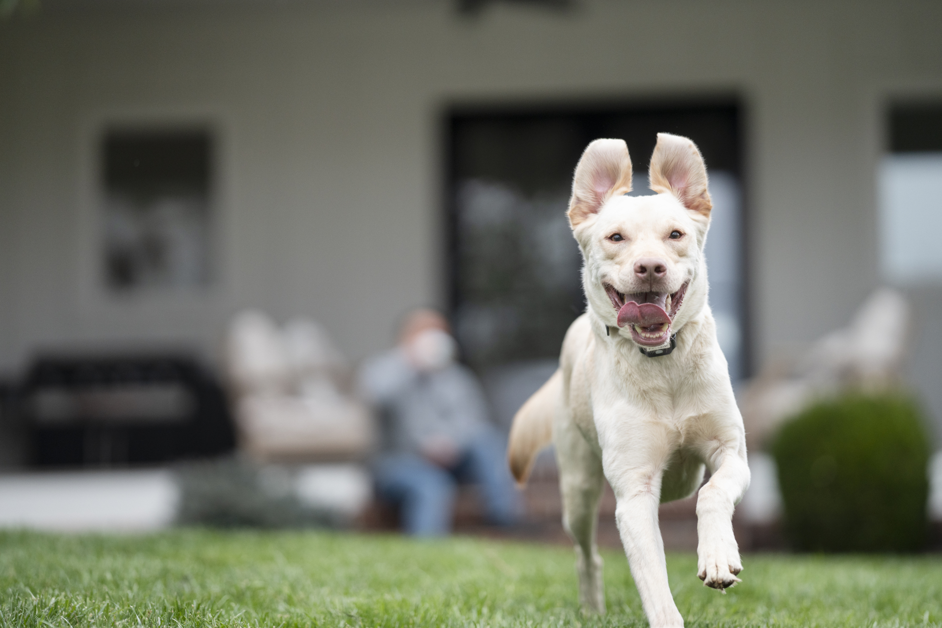 GET IN TOUCH<br>01666 860375