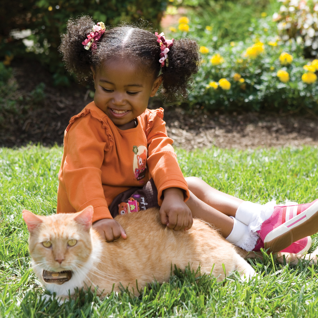 A Freedom Fence keeping a cat safe.